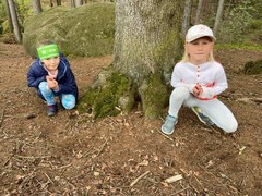 image5 (14)