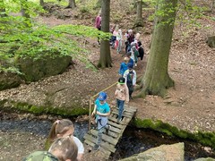 image1 (28)