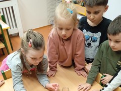 IMG_20250425_085450