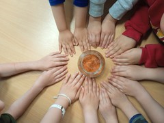 IMG_20250425_090153