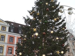 IMG_20241216_111558