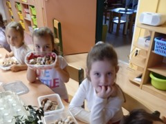 IMG_20241217_091117