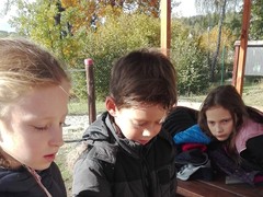 IMG_20191009_140114