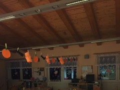 IMG_0183