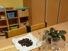 IMG_20241003_064735