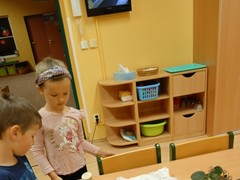 IMG_20241003_064922_1