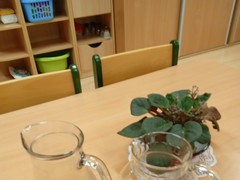 IMG_20241003_074811