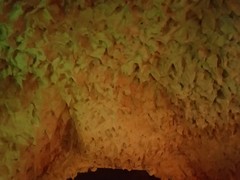 IMG_20241118_090928