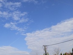 IMG_20241022_103807_1