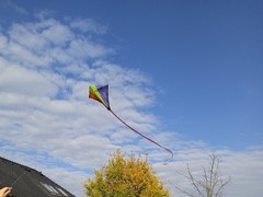IMG_20241022_104106_1