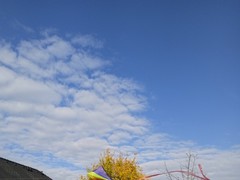 IMG_20241022_104108_1