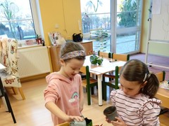 IMG_20250319_064215_1