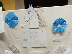 IMG_20241110_184820_1