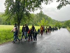 image15 (3)