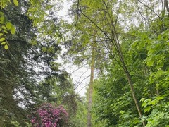 image13 (6)