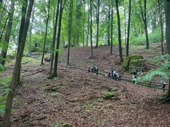 image12 (6)