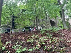 image11 (8)