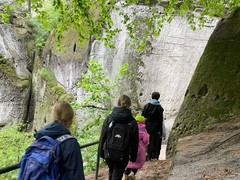 image5 (16)