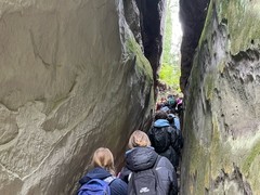 image4 (15)