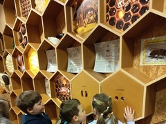 IMG_20250519_101326