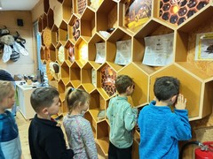 IMG_20250519_101347