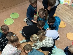 IMG_20250519_102539