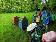 IMG_20250519_120126