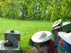 IMG_20250519_120235