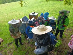 IMG_20250519_120311