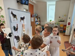 IMG_20250514_084656