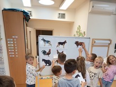 IMG_20250514_084705