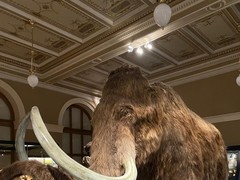 Školní výlet 9.tř. - Praha - Národní muzeum