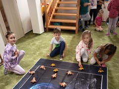 IMG_20250610_090125