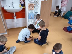 IMG_20250610_092131
