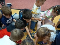 IMG_20250611_084446