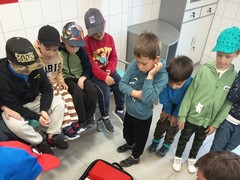 IMG_20250612_095138