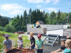 IMG_20250612_115821