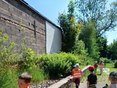 IMG_20250613_105308