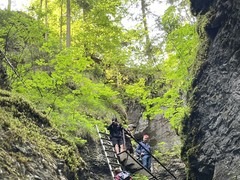 IMG_8513