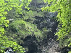 IMG_8508