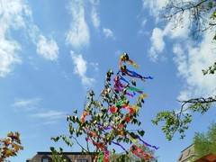 IMG-20250607-WA0017
