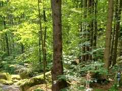IMG-20250626-WA0006
