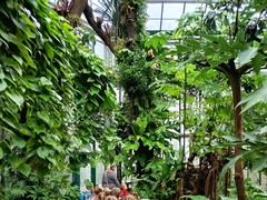 Broučci v botanické zahradě