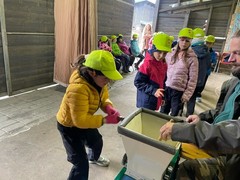 Moštování ve Střevlíku - 2.třída