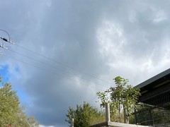 Moštování ve Střevlíku - 2.třída