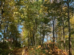 Masožravky v botanické zahradě  - 2.tř.