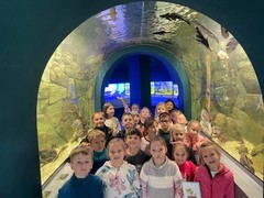 Masožravky v botanické zahradě  - 2.tř.