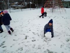Sluníčka si hrají na sněhu